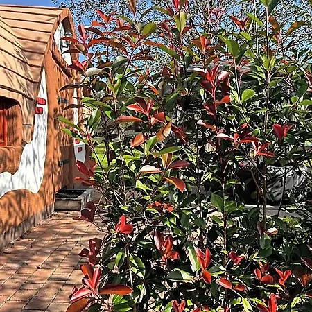 Glamping Pec - Halfboard *